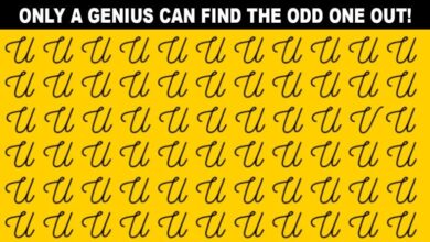 Photo of 92% Of People Can’t Find The Odd Letter Out..!!