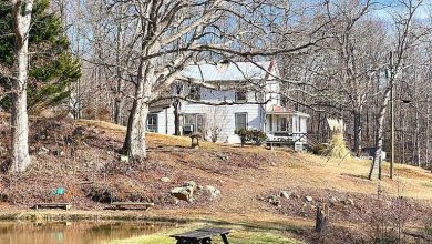 Photo of Fruit trees, house, cabin, pond and a creek! Almost 7 acres in Virginia. $259,900
