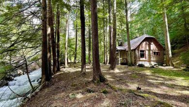 Photo of Cabin in the woods! $299,900