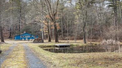 Photo of This Cabin adjoins the National Forest and is a fixer upper! Has lots of potential as a hunting camp or a vacation get away home. $92,000
