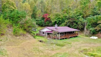 Photo of This 117-acre tract makes the perfect hunting, off-the-grid, or homesteading property! $299,000