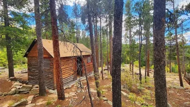 Photo of Great opportunity for a secluded mountain cabin with TWO separate and adjacent parcels consisting of a total of 1.5 acres. Privacy, mountain views, great location. $110,000